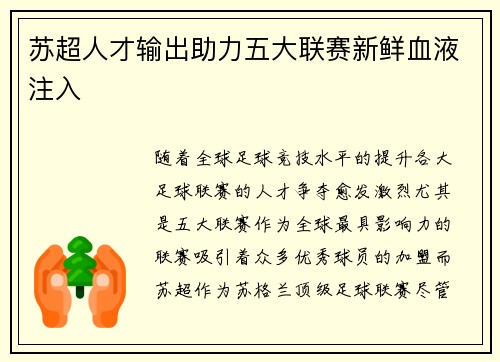 苏超人才输出助力五大联赛新鲜血液注入